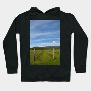 Spring Landscape Near Cividale del Friuli Hoodie